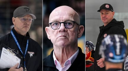 14 Teams sind in der Saison 2024/25 in der DEL dabei - mit sechs neuen Trainer sind die Klubs in die neue Saison gestartet. Drei Coaches wurden schon abgelöst.