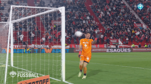 Highlights by Sportdigital