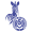 MSV Duisburg