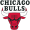Chicago Bulls