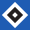 Hamburger SV II
